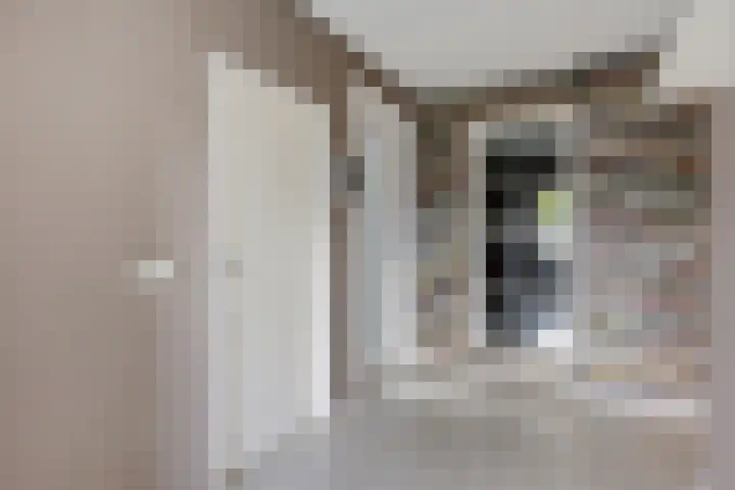 Kapelstraat 39 Rijkevoort thumbnail 11