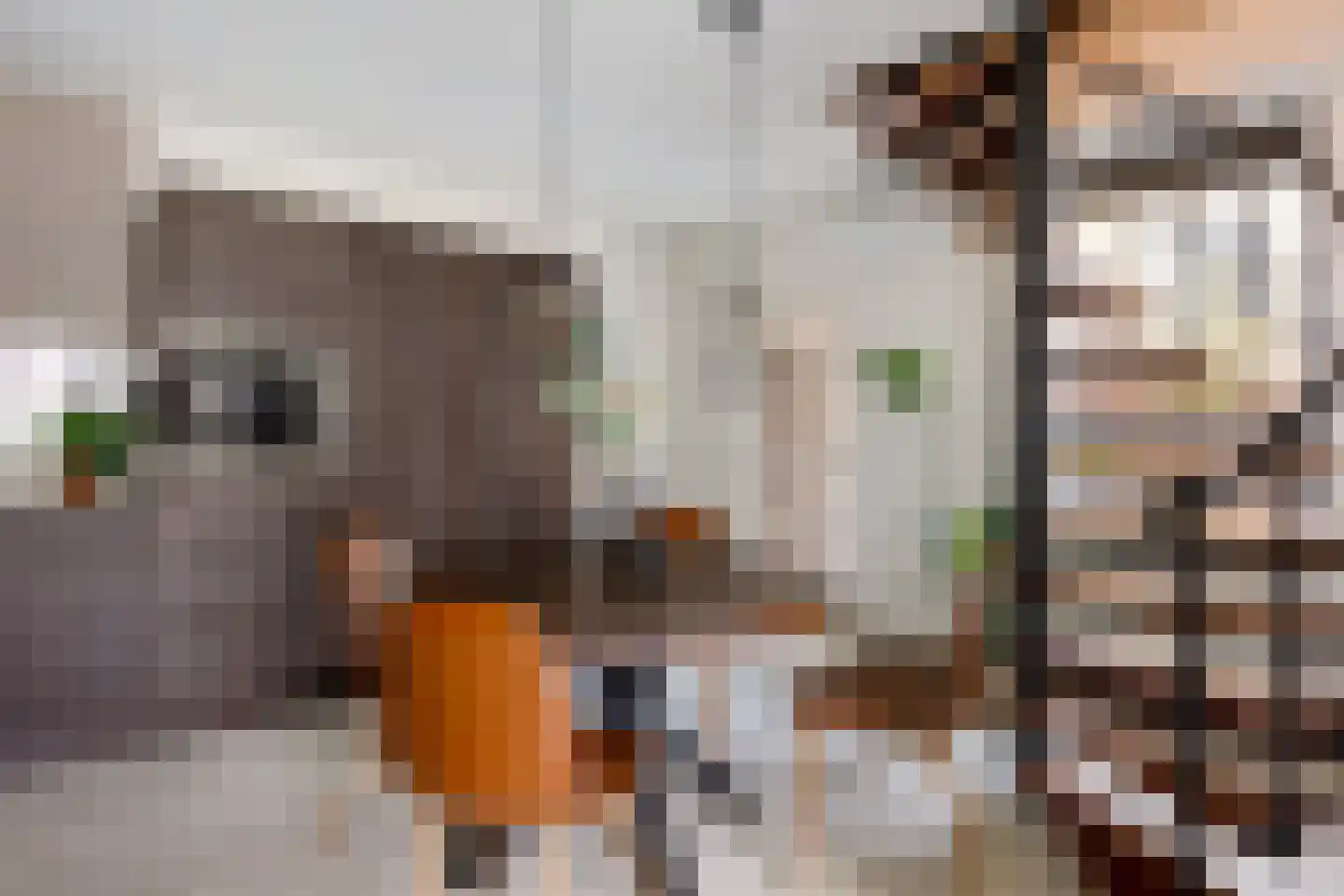 Kapelstraat 39 Rijkevoort thumbnail 4