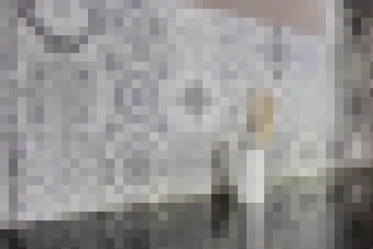 Kapelstraat 39 Rijkevoort thumbnail 8