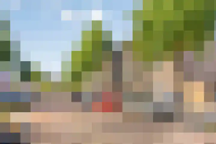 Kapelstraat 41 Uden thumbnail 27