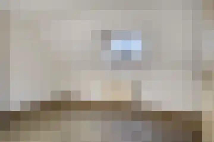 Kapelstraat 41 Uden thumbnail 8