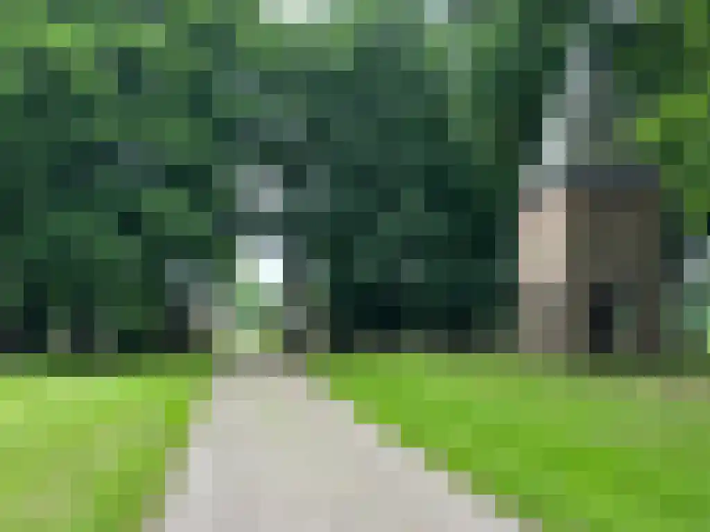 Kapelstraat 42 Heeze thumbnail 42