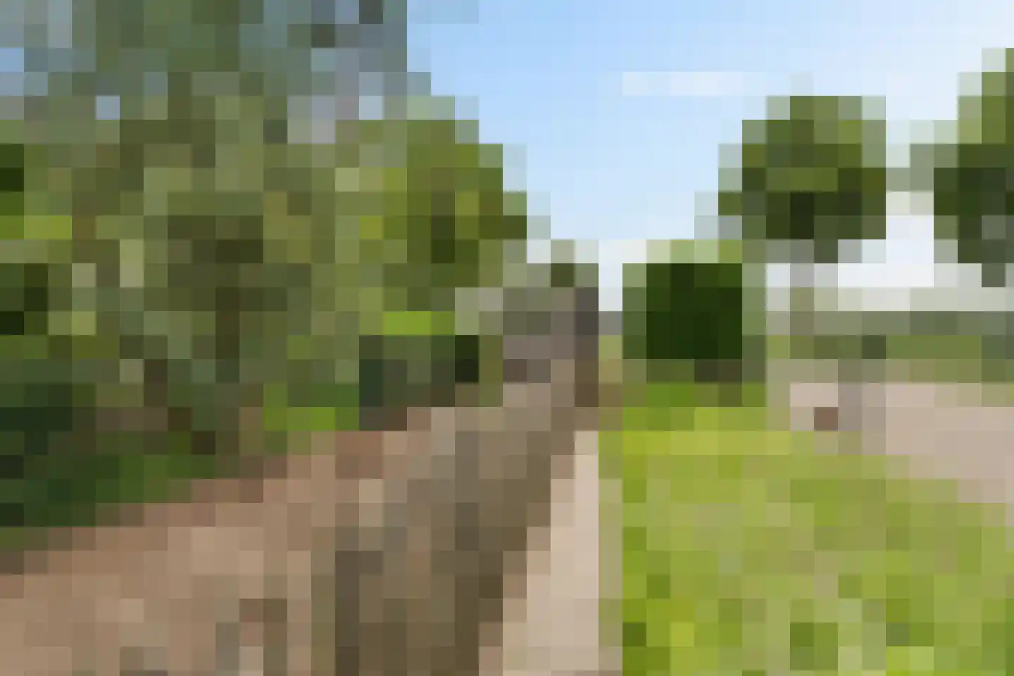 Kapelstraat 42 Megen thumbnail 47