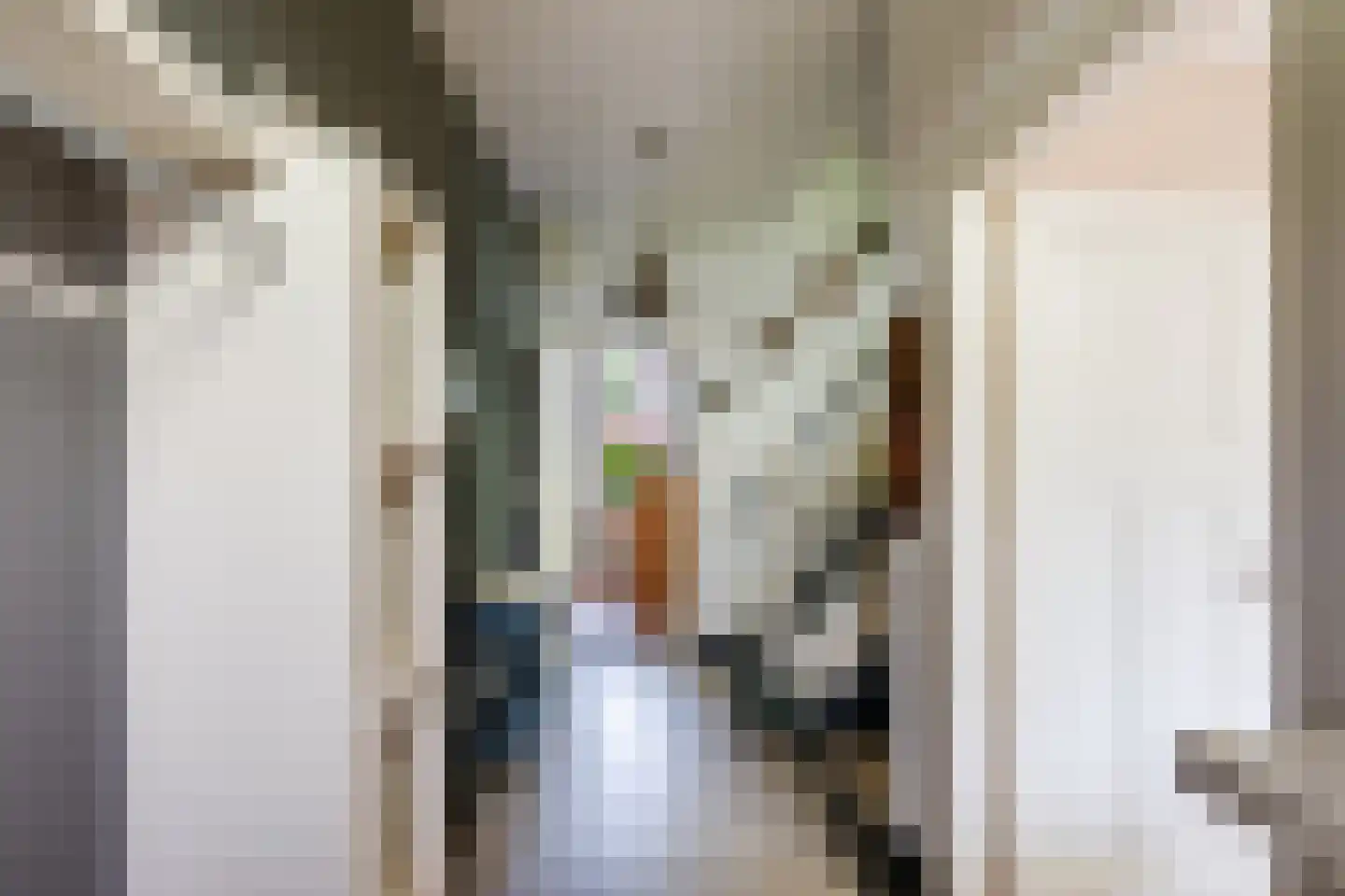 Kapelstraat 42 Prinsenbeek thumbnail 10