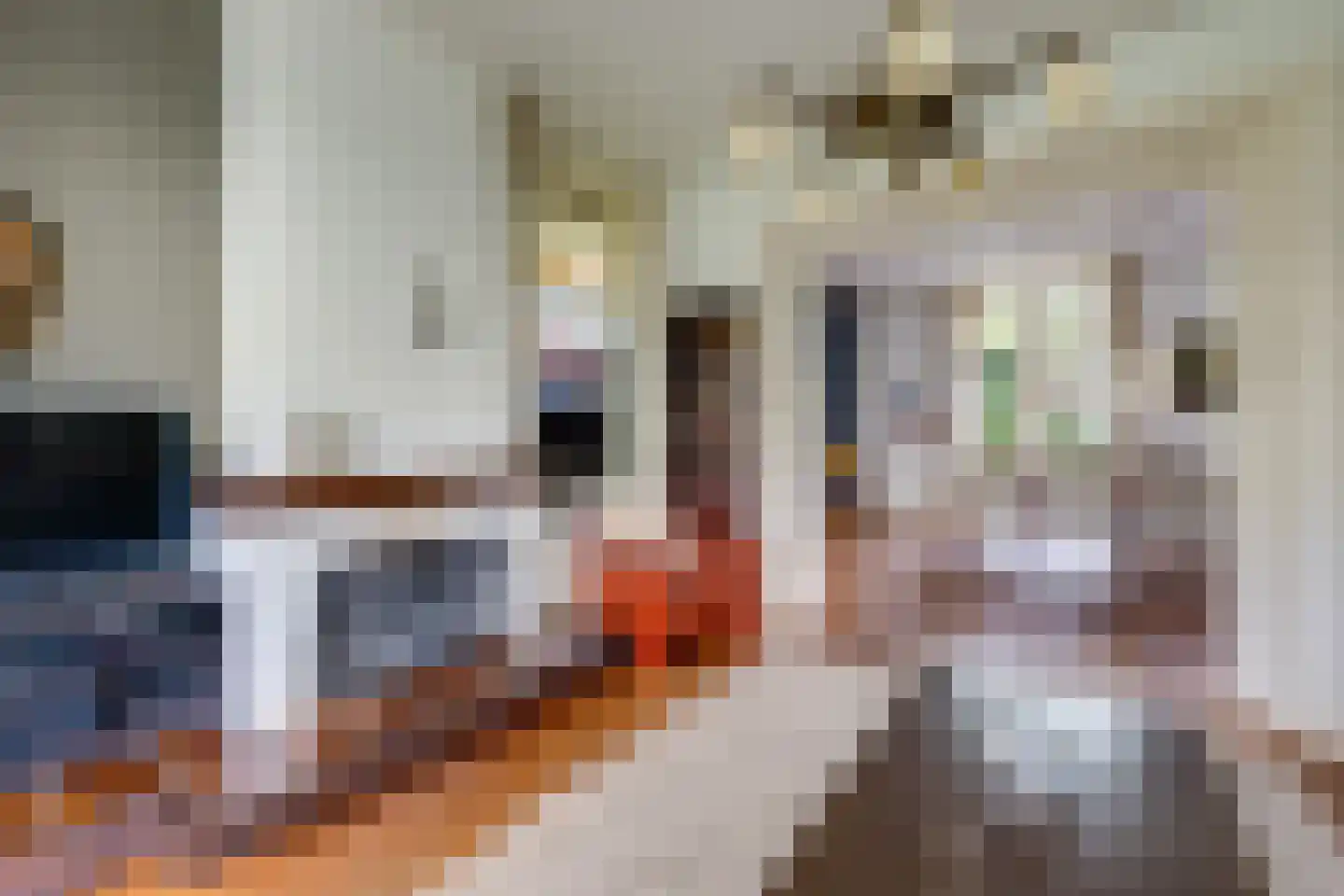 Kapelstraat 42 Prinsenbeek thumbnail 16
