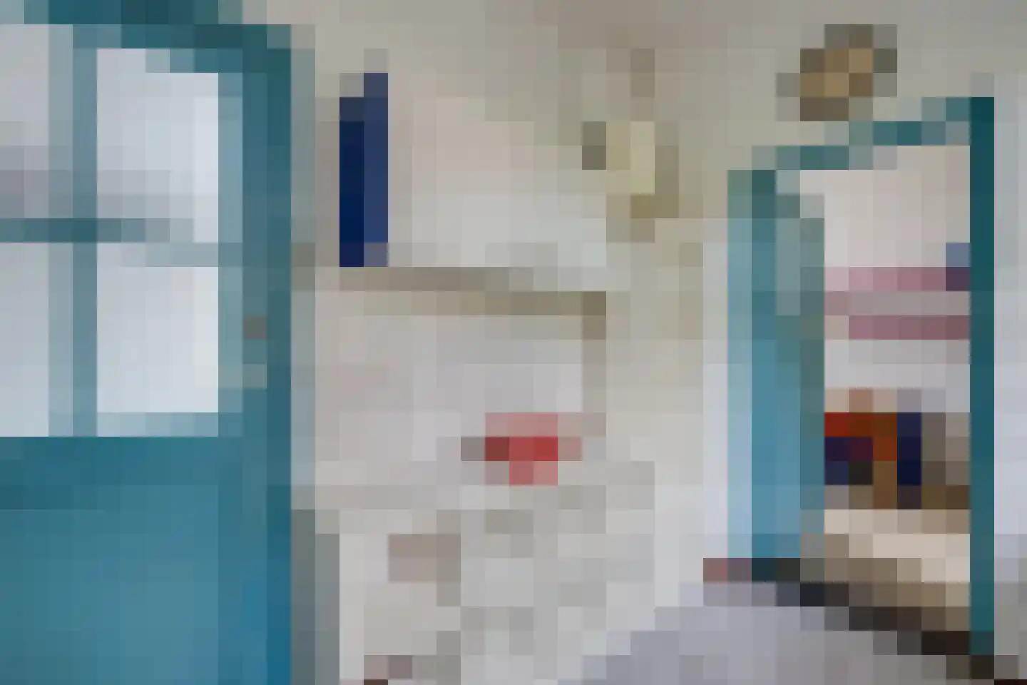 Kapelstraat 42 Prinsenbeek thumbnail 23