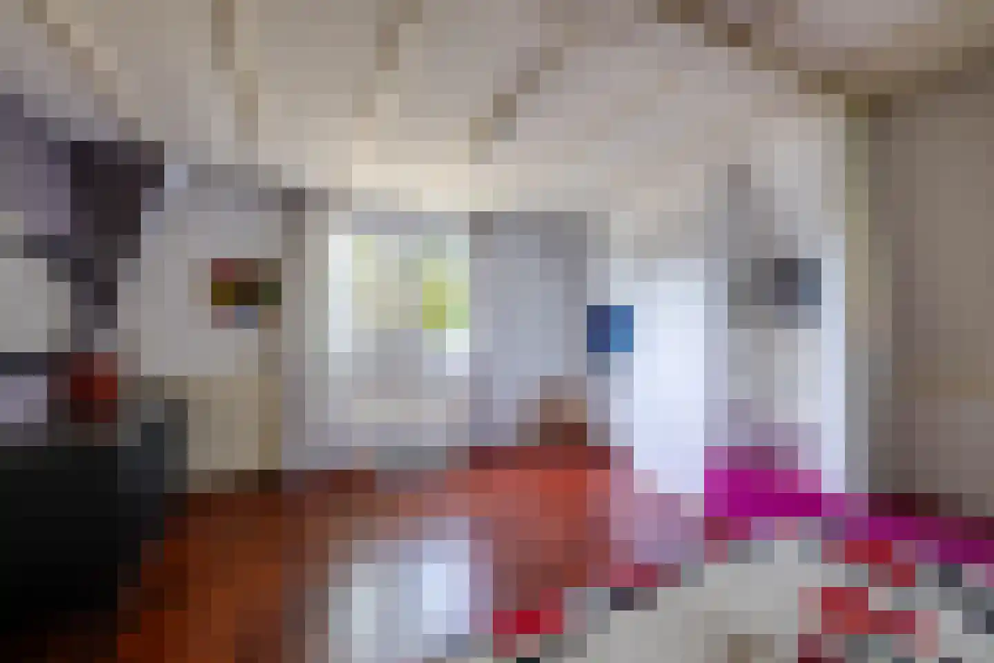 Kapelstraat 42 Prinsenbeek thumbnail 33