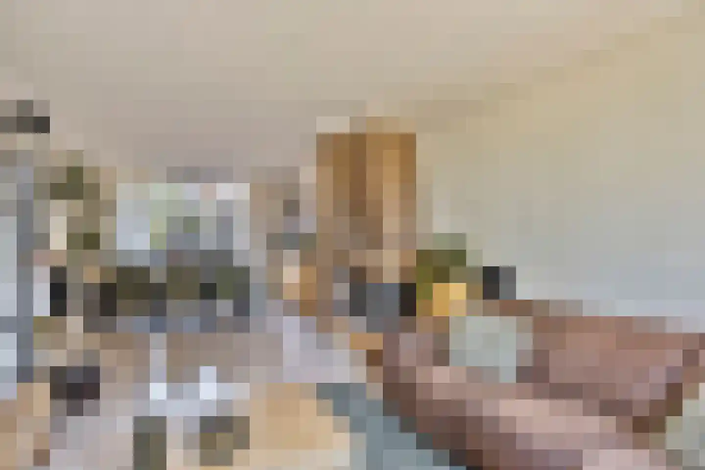 Kapelstraat 43 Geffen thumbnail 12