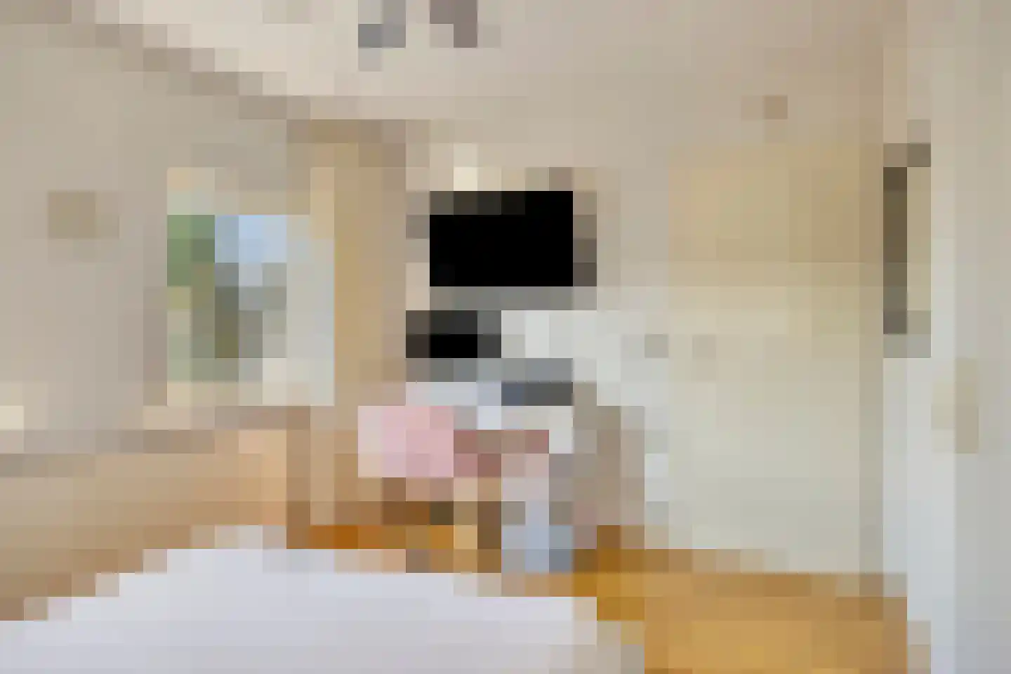 Kapelstraat 43 Geffen thumbnail 30