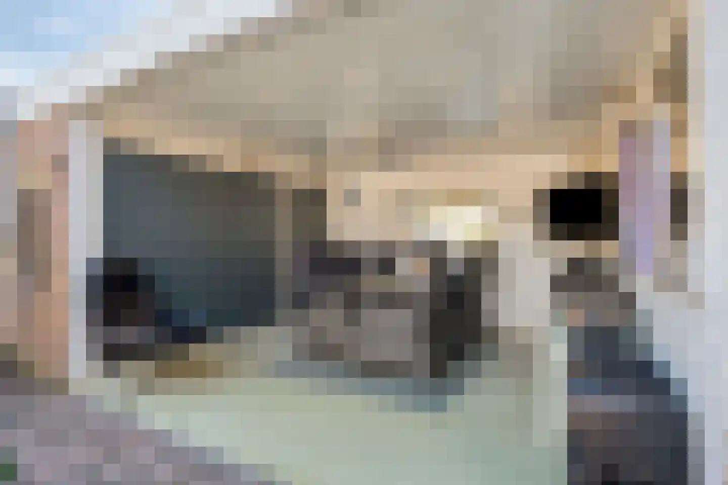 Kapelstraat 43 Geffen thumbnail 46