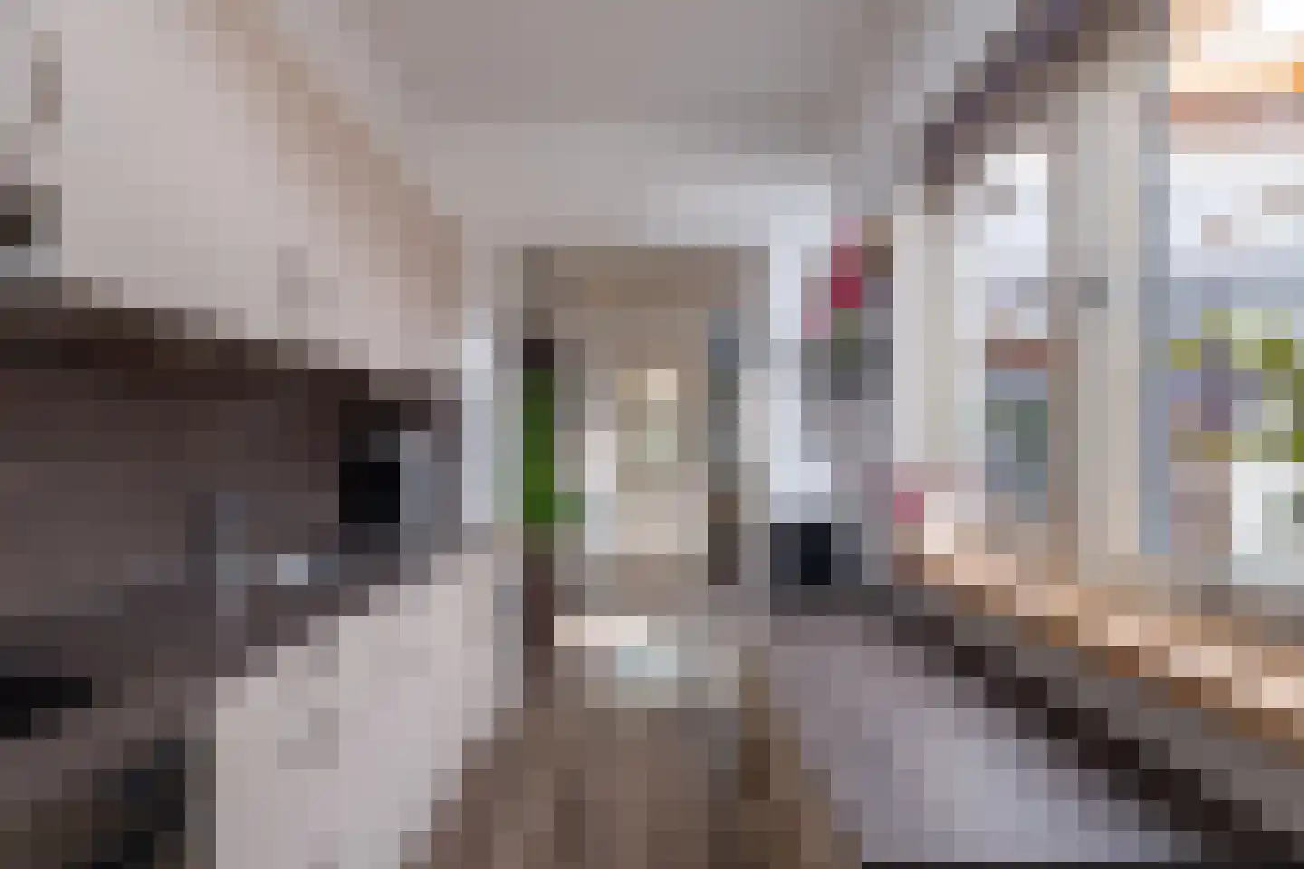 Kapelstraat 43 Sneek thumbnail 20
