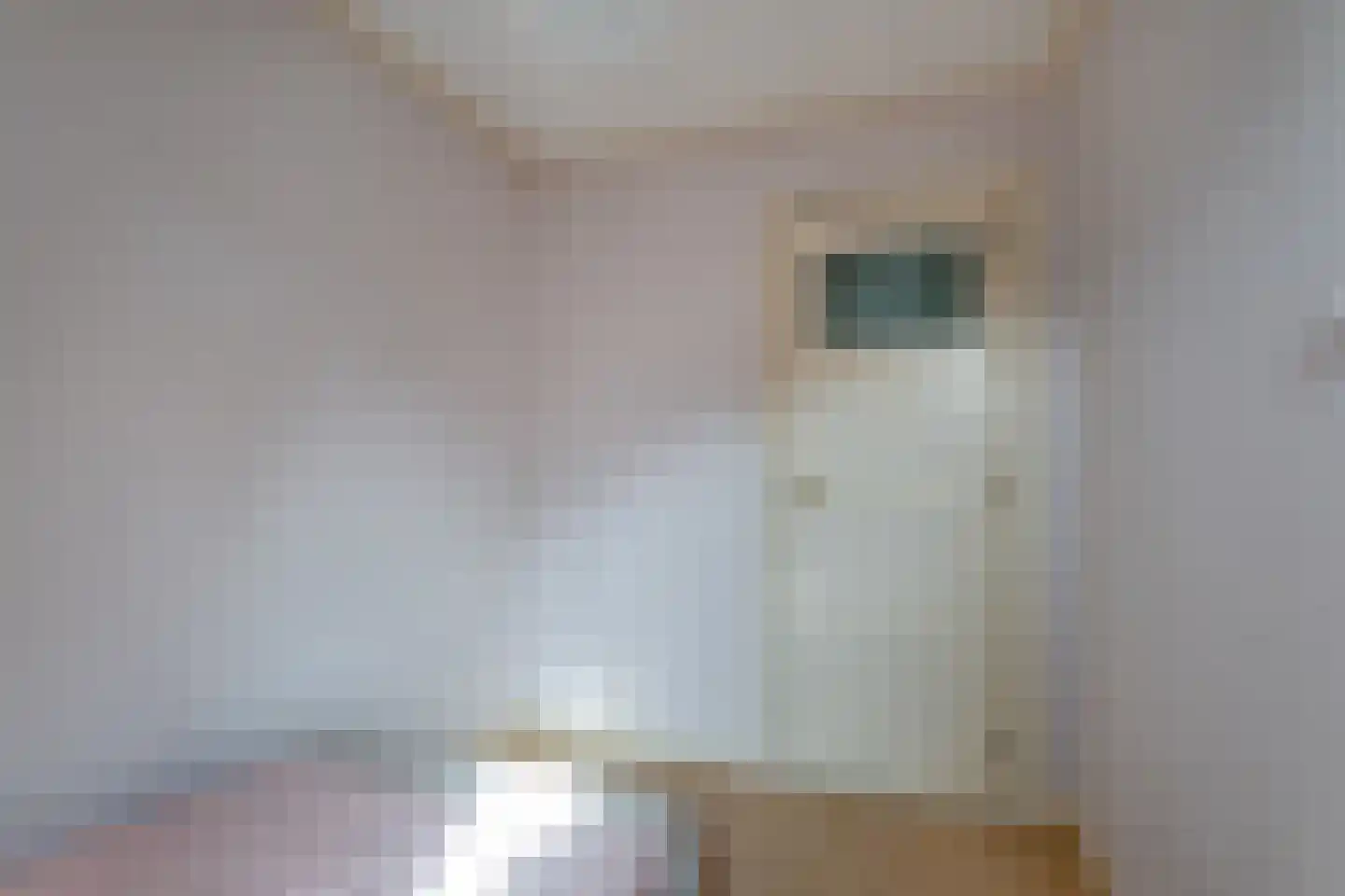 Kapelstraat 43 Sneek thumbnail 30