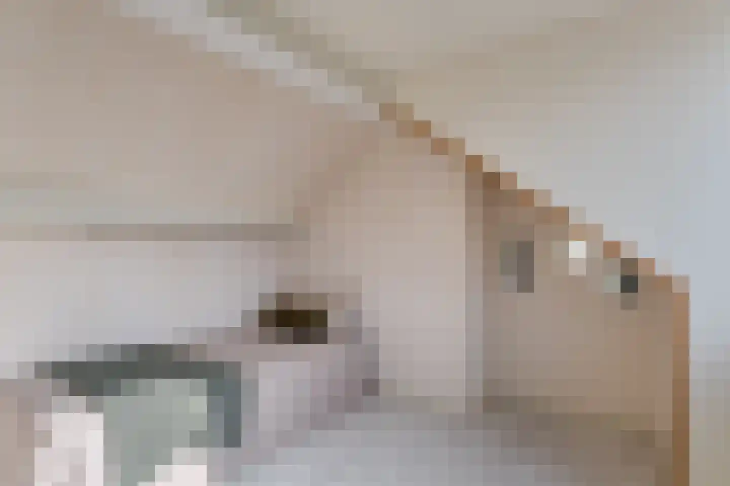 Kapelstraat 43 Sneek thumbnail 37