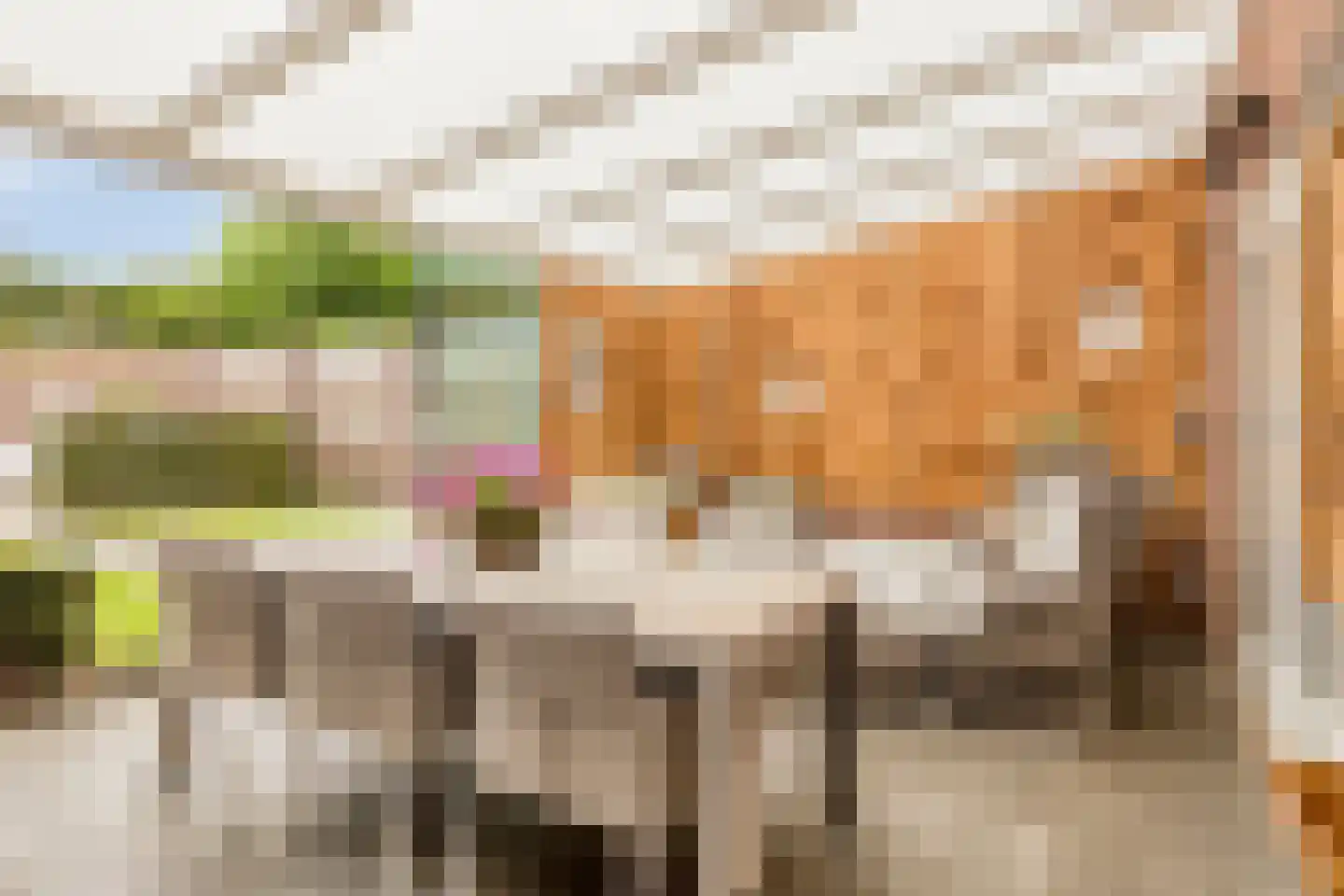Kapelstraat 44 Chaam thumbnail 18