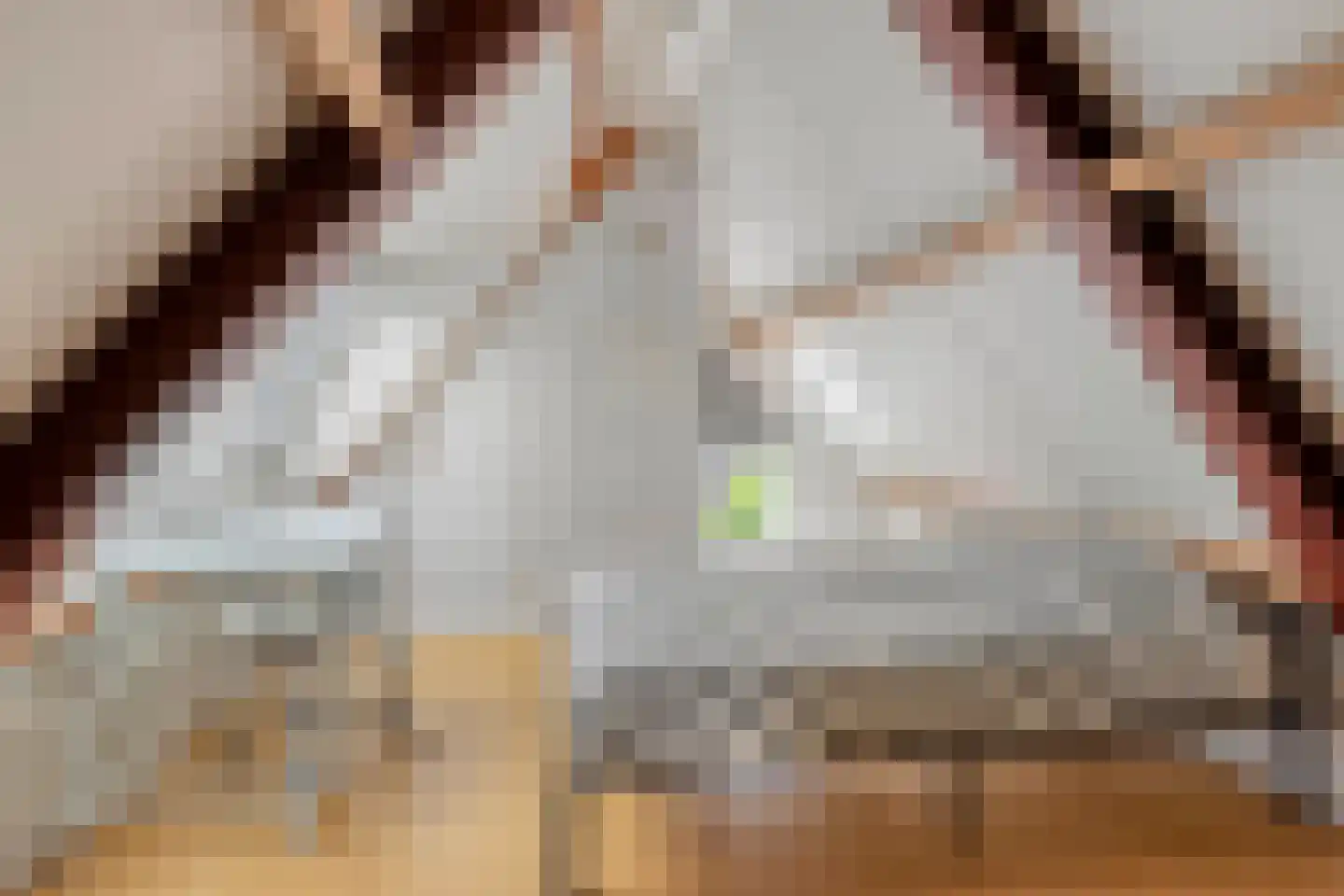 Kapelstraat 44 Chaam thumbnail 29
