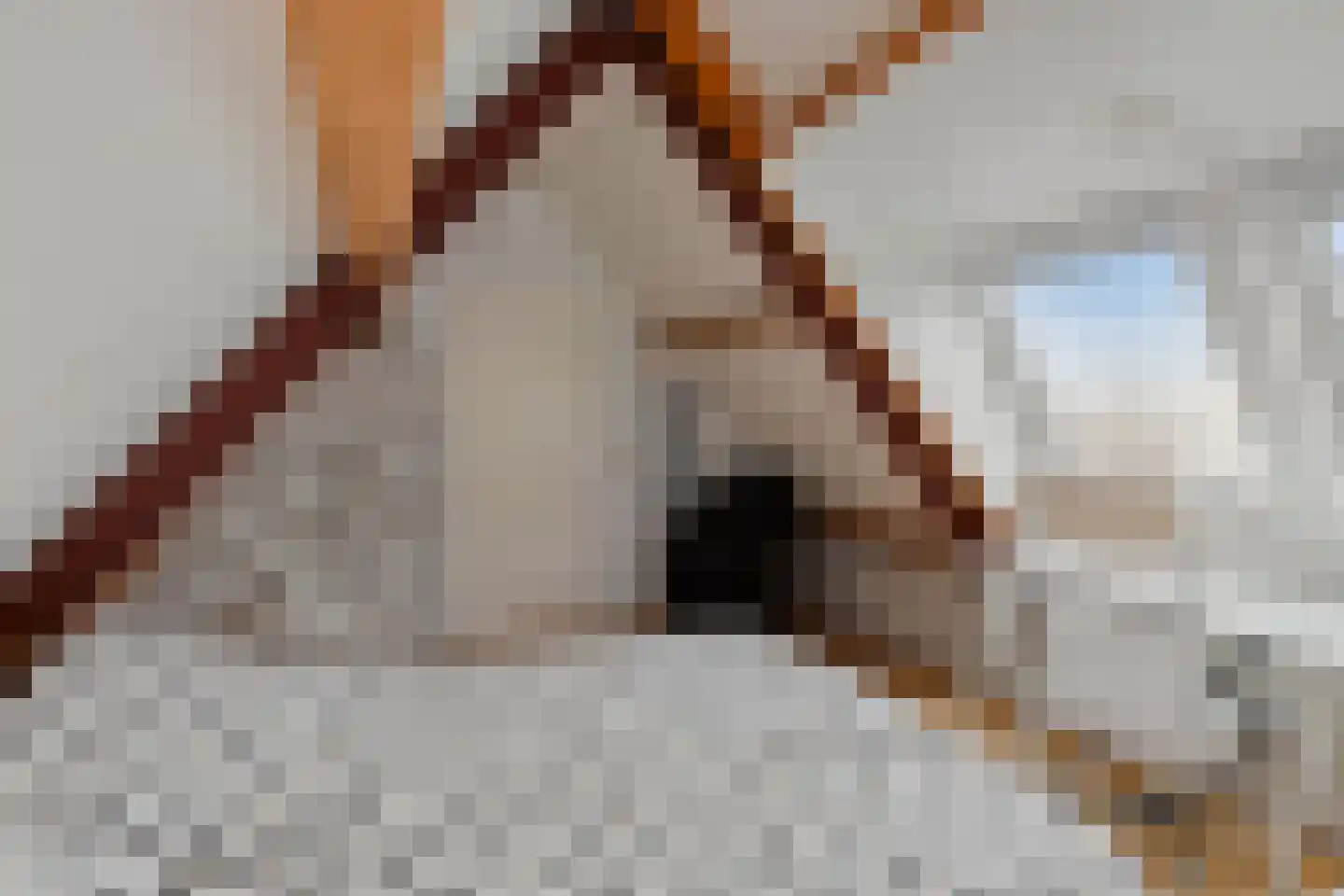 Kapelstraat 44 Chaam thumbnail 30