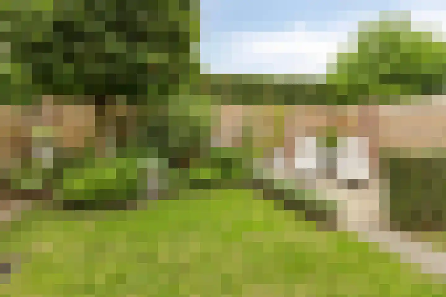 Kapelstraat 44 Chaam thumbnail 34