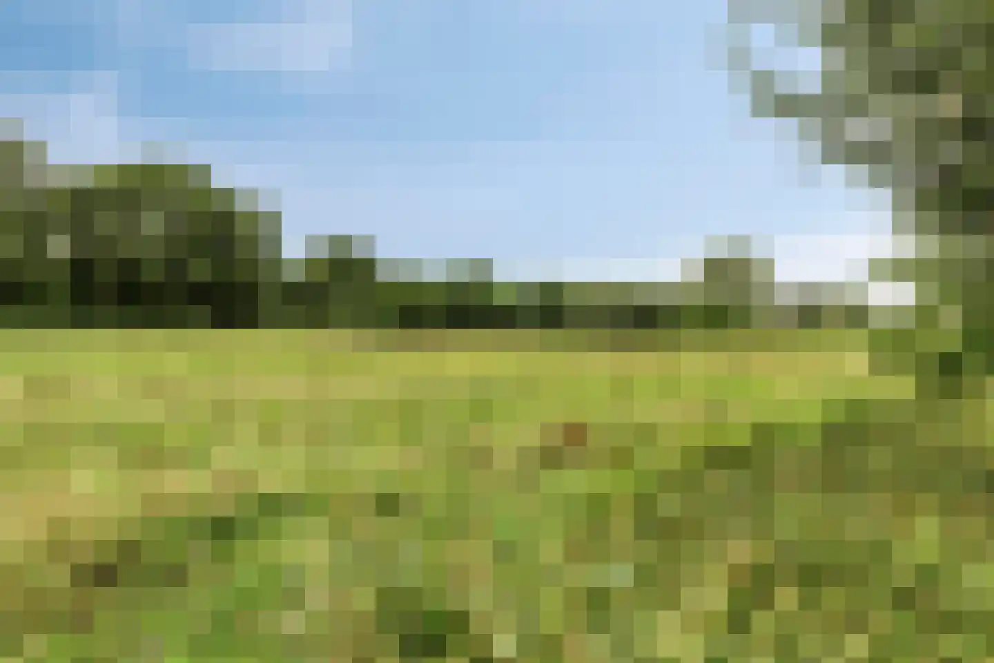 Kapelstraat 44 Chaam thumbnail 37