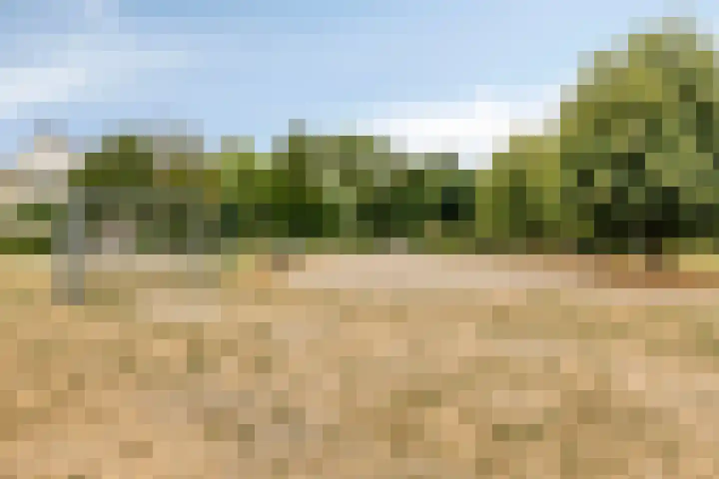 Kapelstraat 44 Chaam thumbnail 38