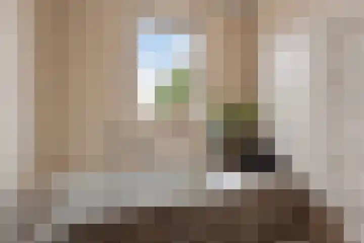 Kapelstraat 45 A Veghel thumbnail 35