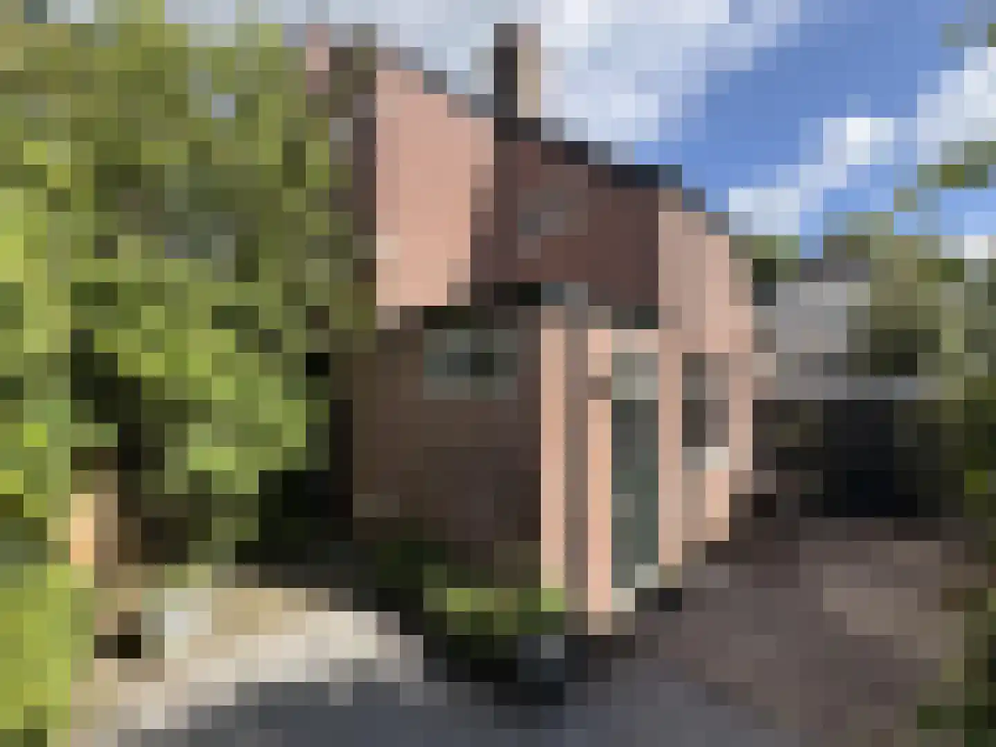 Kapelstraat 48 Hilversum thumbnail 30