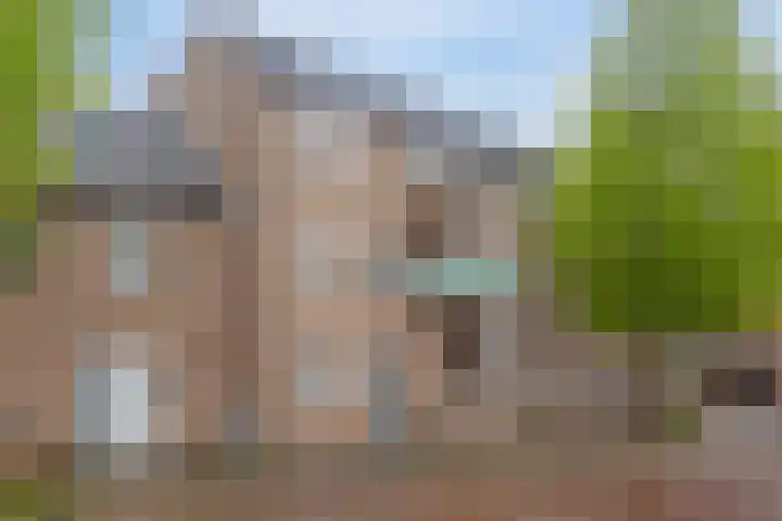 Kapelstraat 49 Uden thumbnail 25
