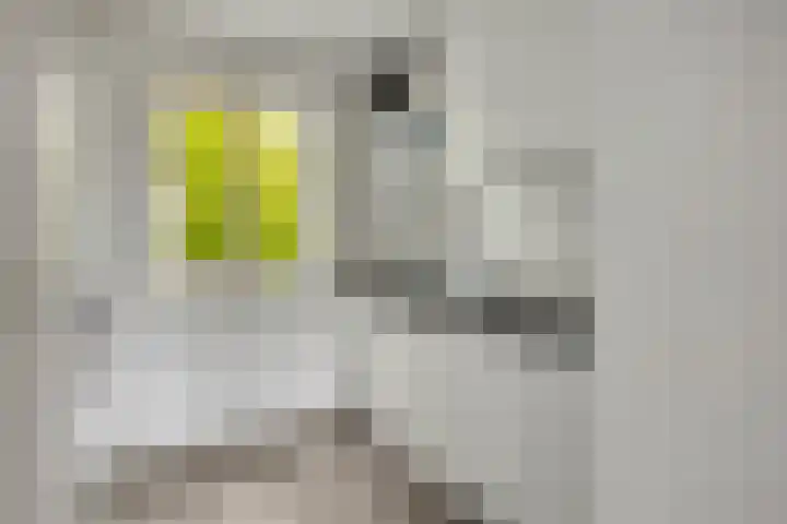 Kapelstraat 49 Uden thumbnail 4