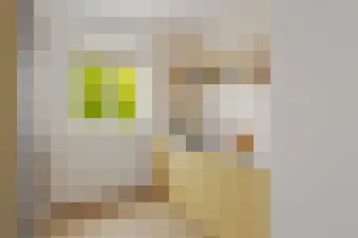Kapelstraat 49 Uden thumbnail 5