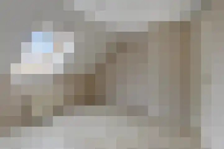 Kapelstraat 49 Uden thumbnail 8