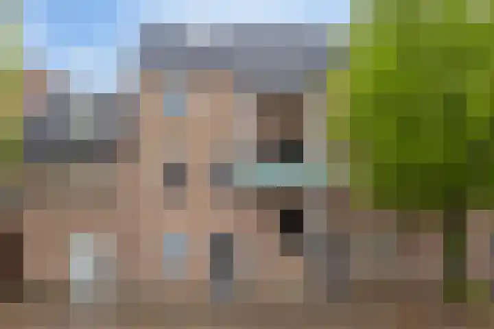 Kapelstraat 49 Uden thumbnail 9
