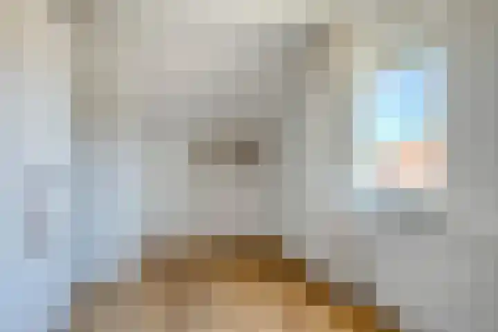Kapelstraat 5 Broekhuizenvorst thumbnail 28