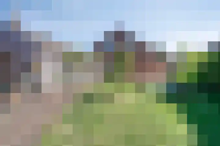 Kapelstraat 5 Broekhuizenvorst thumbnail 32