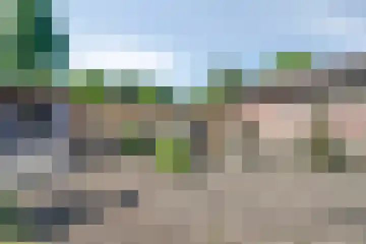 Kapelstraat 5 Broekhuizenvorst thumbnail 33