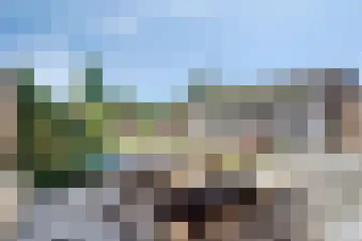 Kapelstraat 5 Broekhuizenvorst thumbnail 4
