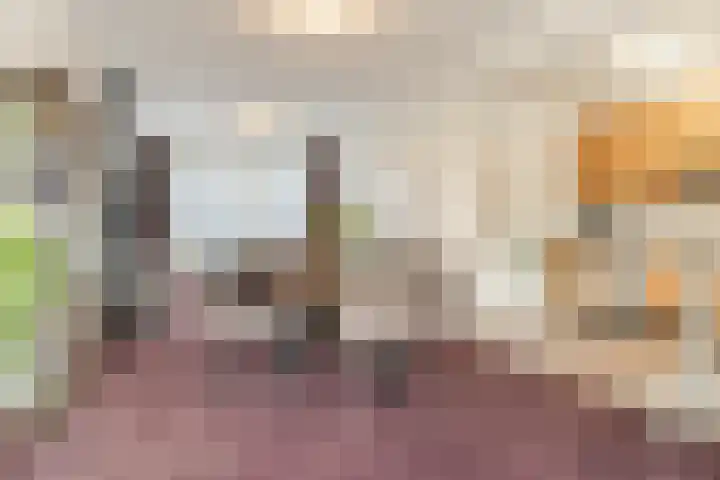 Kapelstraat 5 Tilburg thumbnail 5