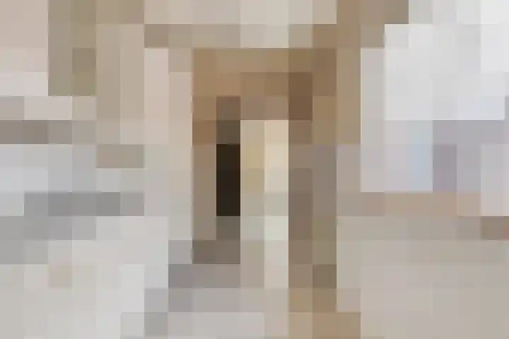Kapelstraat 55 Tilburg thumbnail 9