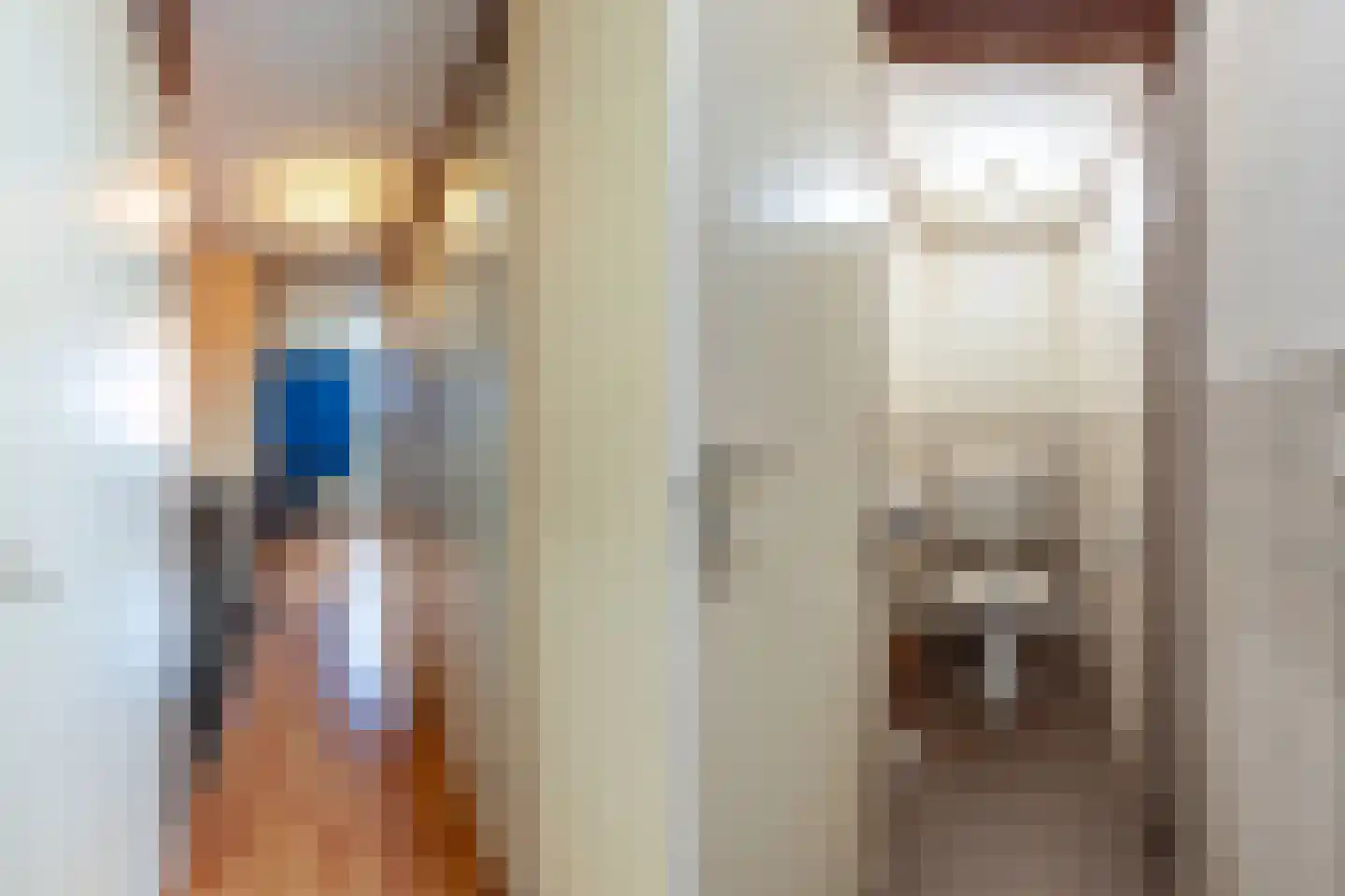 Kapelstraat 56 Apeldoorn thumbnail 15