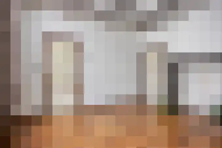 Kapelstraat 56 Beek en Donk thumbnail 15