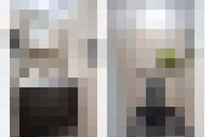 Kapelstraat 56 Beek en Donk thumbnail 22
