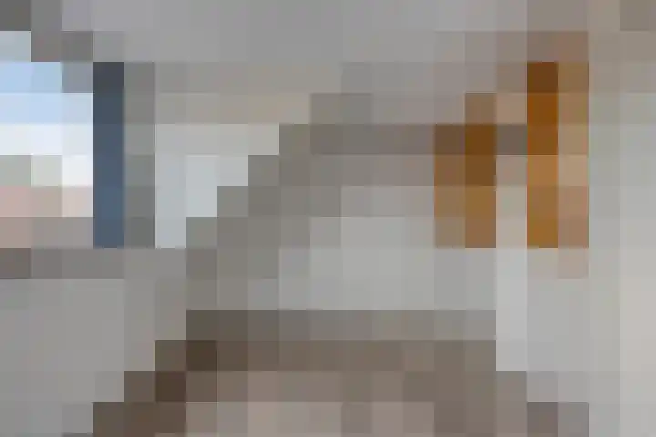 Kapelstraat 56 Beek en Donk thumbnail 25