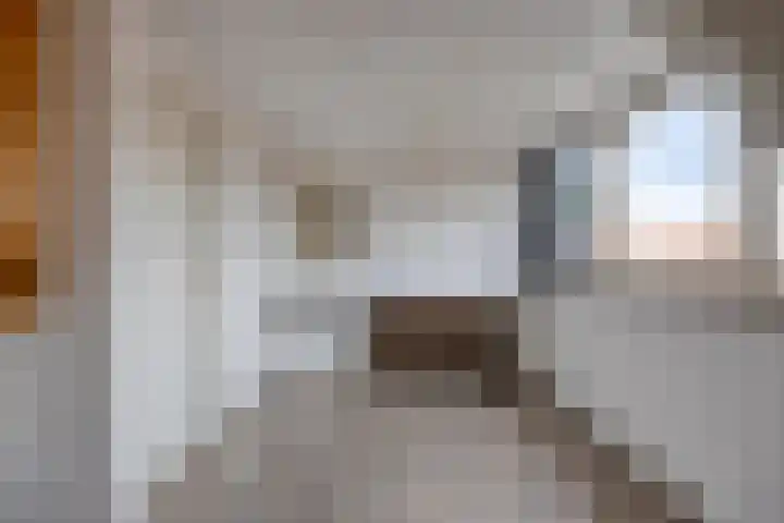 Kapelstraat 56 Beek en Donk thumbnail 26