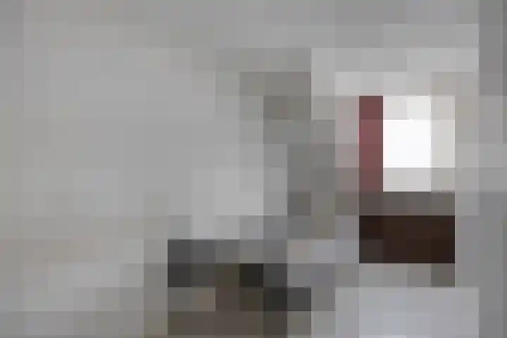 Kapelstraat 56 Beek en Donk thumbnail 27