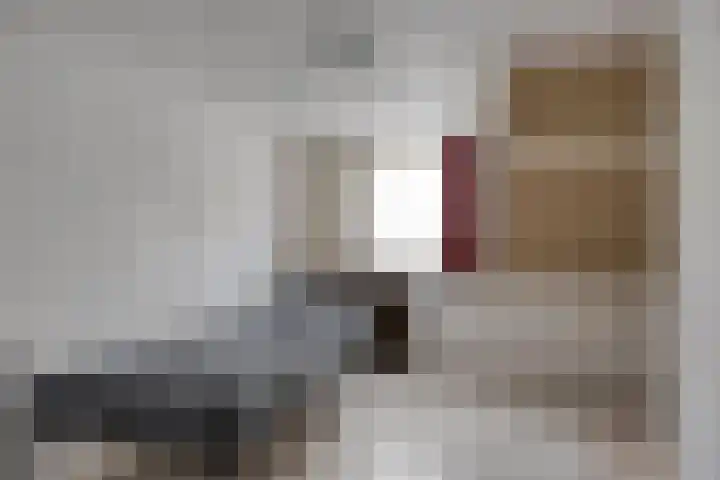 Kapelstraat 56 Beek en Donk thumbnail 29