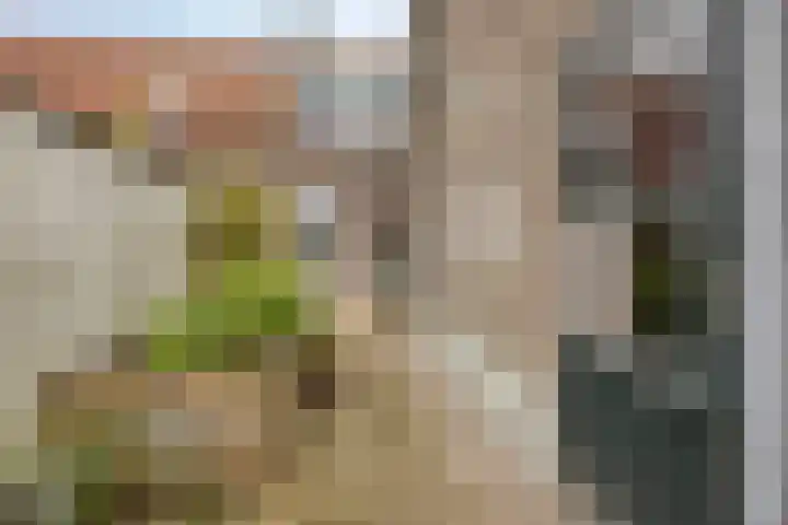 Kapelstraat 56 Beek en Donk thumbnail 33