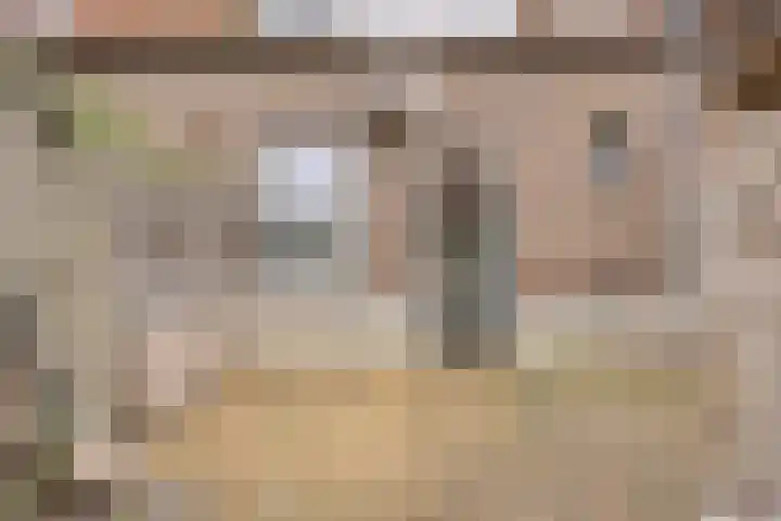 Kapelstraat 56 Beek en Donk thumbnail 38
