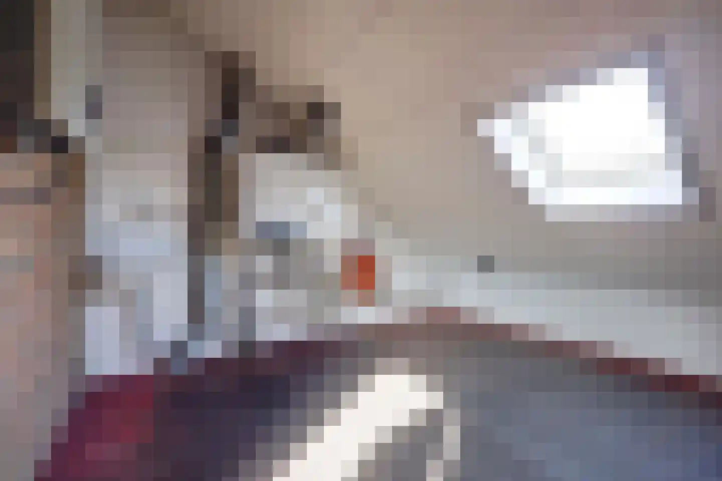 Kapelstraat 6 A Lomm thumbnail 41