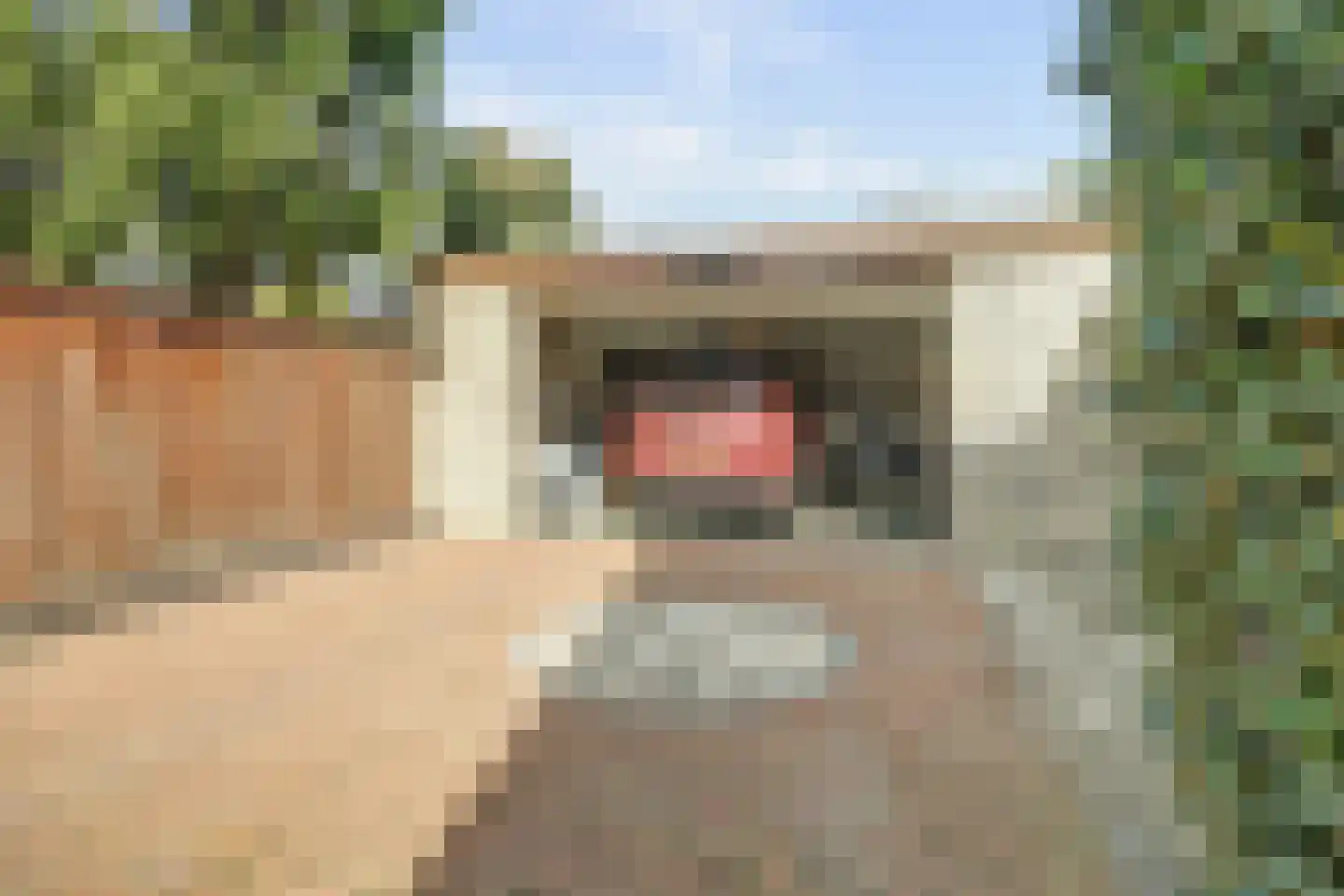 Kapelstraat 6 A Lomm thumbnail 49