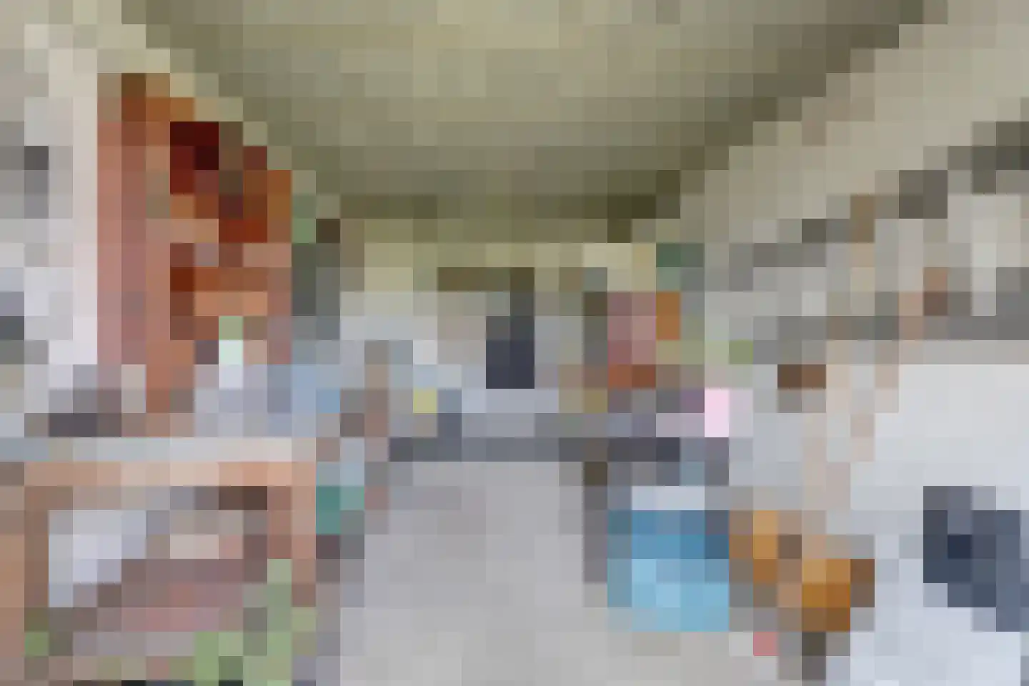 Kapelstraat 6 A Lomm thumbnail 51