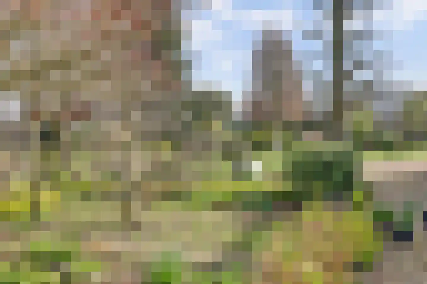 Kapelstraat 6 A Lomm thumbnail 61