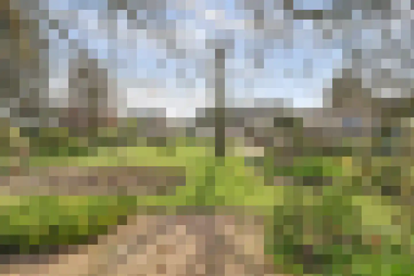 Kapelstraat 6 A Lomm thumbnail 63